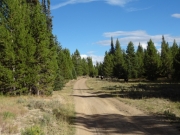 curve_ahead