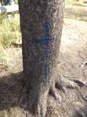 memorial_part_4