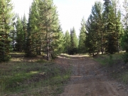 near_the_trailhead