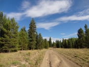 ruts