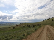 down_to_the_valley