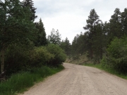 early_trail