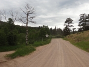 mellow_road
