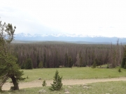 view_from_the_tower