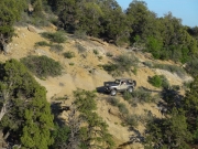 bill_on_the_trail