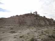 desert