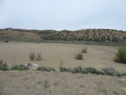 dried_up