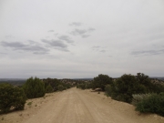 easy_road