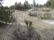 following_an_atv