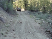 monica_on_the_trail