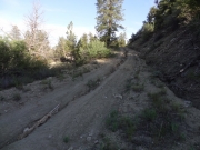 the_ditch