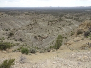 view_from_the_ridge