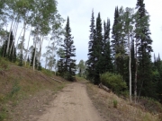 dirt_track