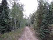 green_trees