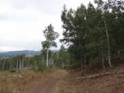 mellow_trail