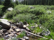 deer_creek_part_3