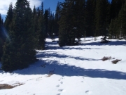 deep_snow