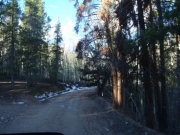 looking_down_bard_creek
