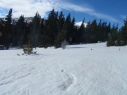 snow