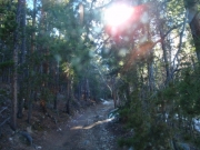 trail_part_1
