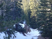 trail_part_6