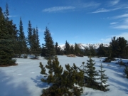 view_part_5