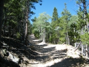 curvy_climb