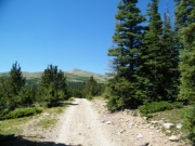 democrat_mountain