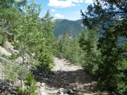 down_silver_gulch