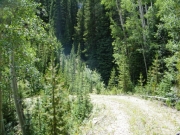 silver_gulch_switchback