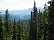 view_from_the_buckeye_lode_mine_part_4