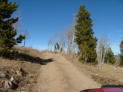 dirt_trail