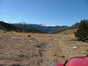 elevation