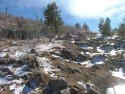 hill_climb_part_2