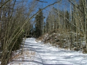 little_snow
