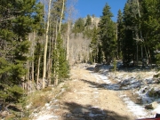 rocks_above_the_trees
