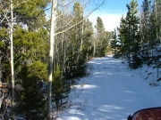 snow_in_the_shade