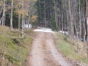 early_trail