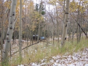 matt_in_aspens
