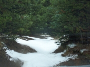 snow_covered_trail