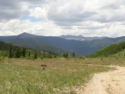 mountain_view
