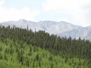 ridge
