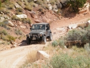 bill_on_the_trail