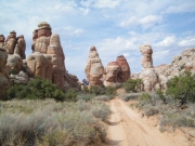 impressive_needles