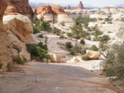 out_via_elephant_hill