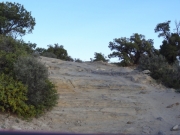 little_ledges