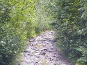 little-used_trail