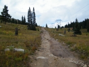 meadow_part_1