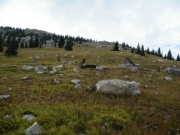 meadow_part_3