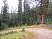 switchback
